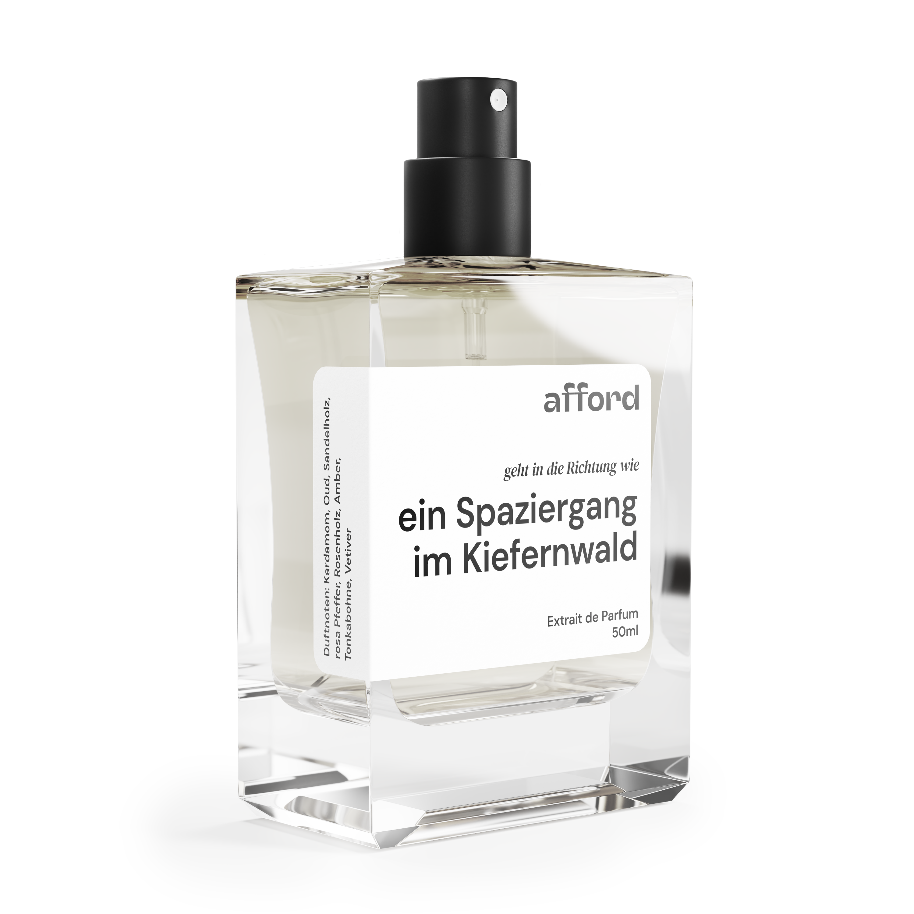 a walk in the pine forest