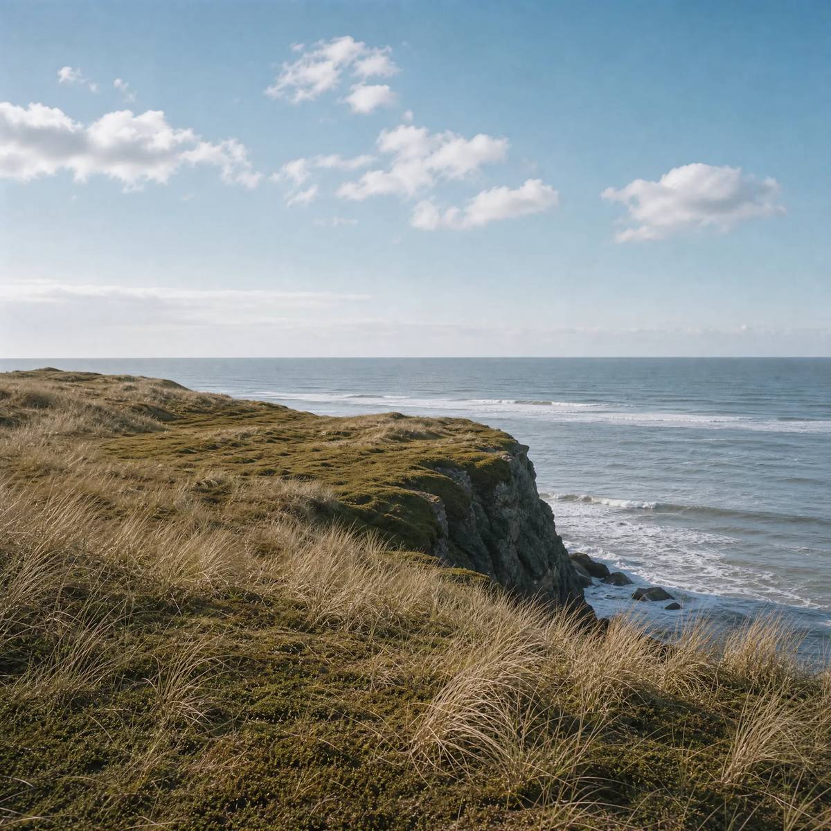 durch hohes Gras ans Meer