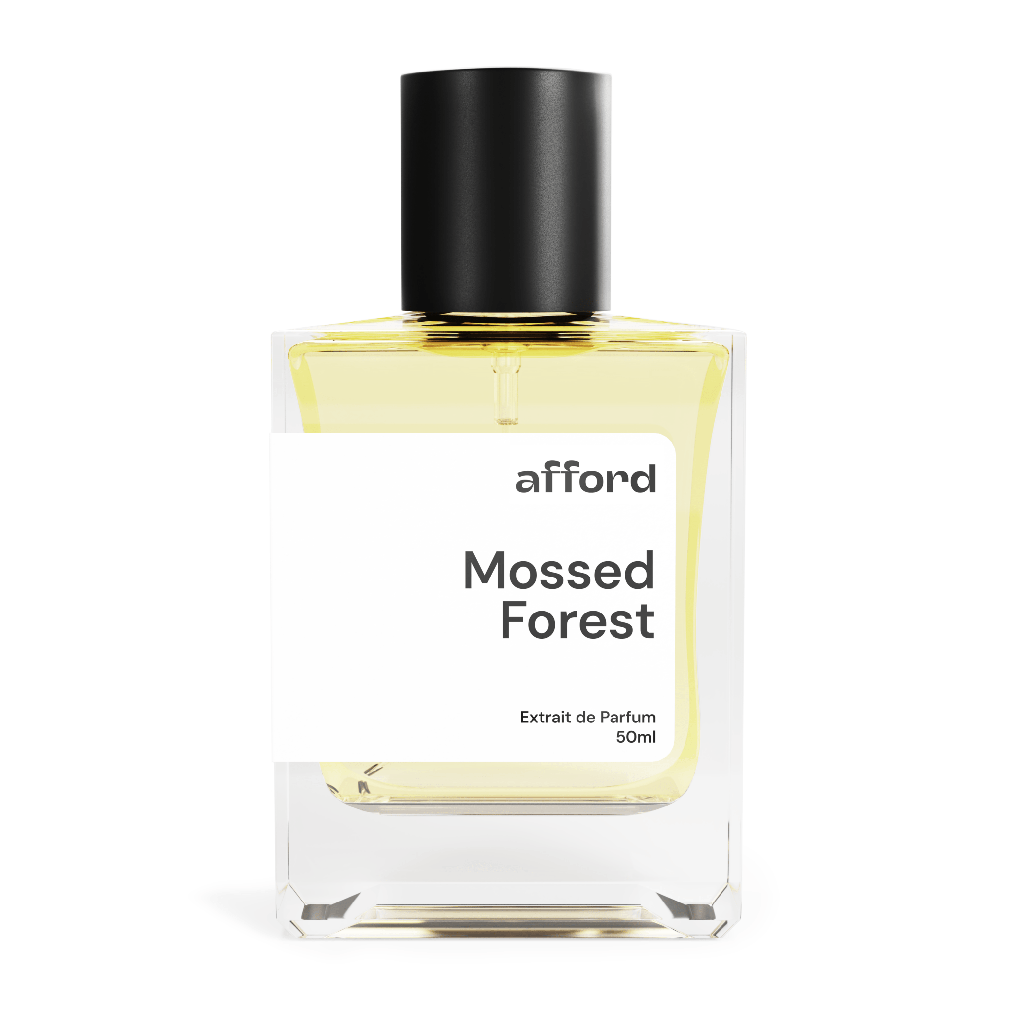 Mossed Forest - Maison Afford