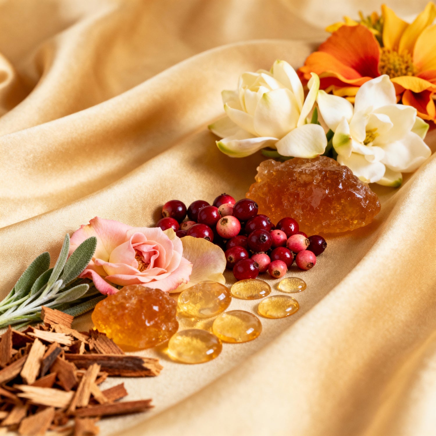 Seductive Tuberosa - Maison Afford